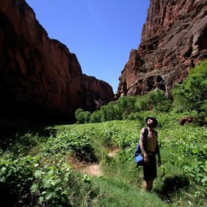 Meet your Posher, Julien